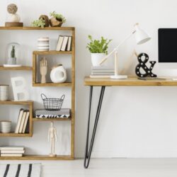 Can insurance agents work from home