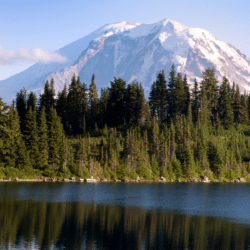 Step by step instructions on how to become an insurance agent in Washington