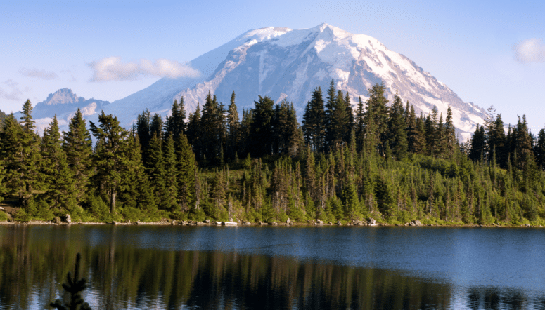 Step by step instructions on how to become an insurance agent in Washington