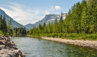 Instructions on how to become an insurance agent in Montana