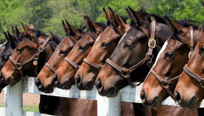 Your guide to becoming a licensed insurance agent in Kentucky
