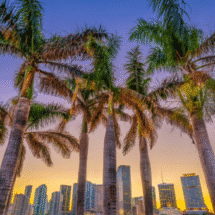 How to become an insurance agent in Florida