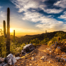 Instructions on how to get your Arizona insurance license