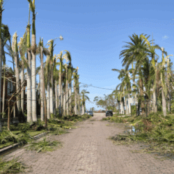 Steps to obtain Florida insurance license
