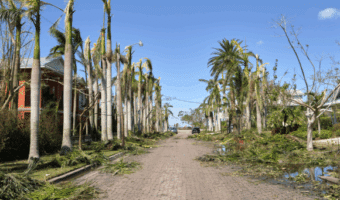 Steps to obtain Florida insurance license