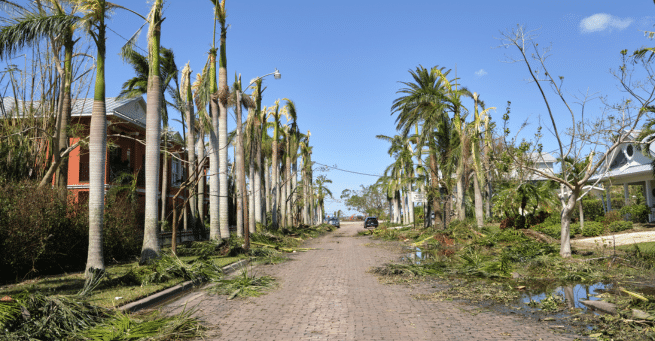 Steps to obtain Florida insurance license